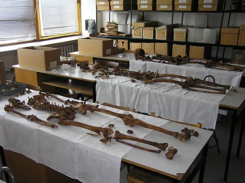 Biologia sądowa – odkryj wady i zalety tego fascynującego kierunku!