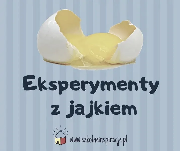 Ciekawe doświadczenia: proste eksperymenty z jajkiem w domu dla małych naukowców