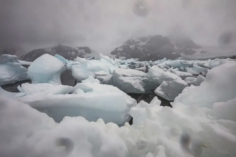 Co najbardziej szkodzi klimatowi i jak skutecznie temu zapobiec?