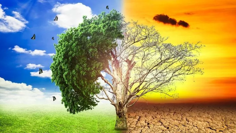 Czynniki zmian klimatu w Polsce – co warto wiedzieć?