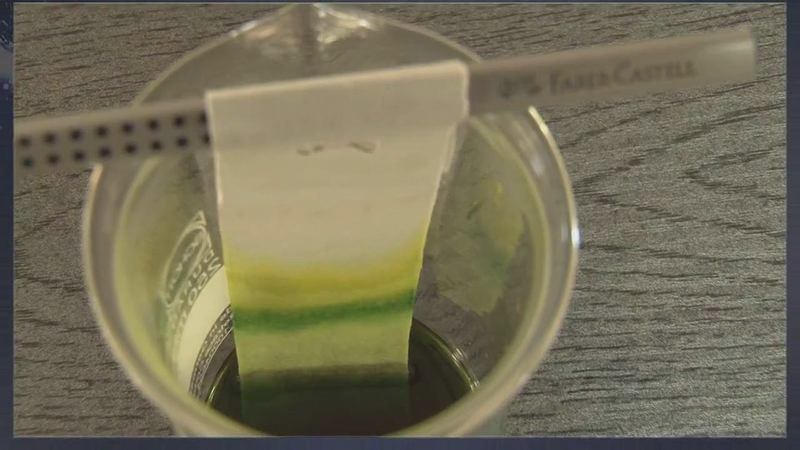 Eksperymenty biologiczne w książce „Z biologią za pan brat” – bezpieczne pomysły dla uczniów