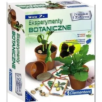 Eksperymenty z botaniki dla dzieci: 7 prostych doświadczeń w domu