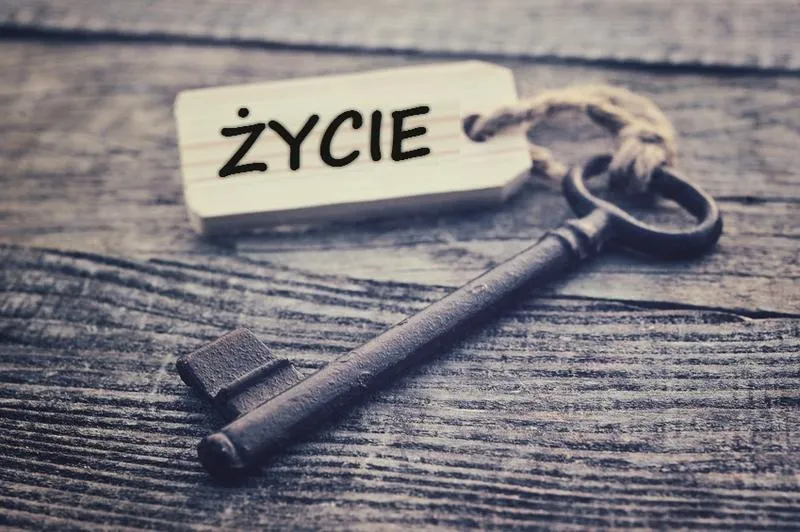 Ile wart jest człowiek? Złożoność wartości życia w rozprawce