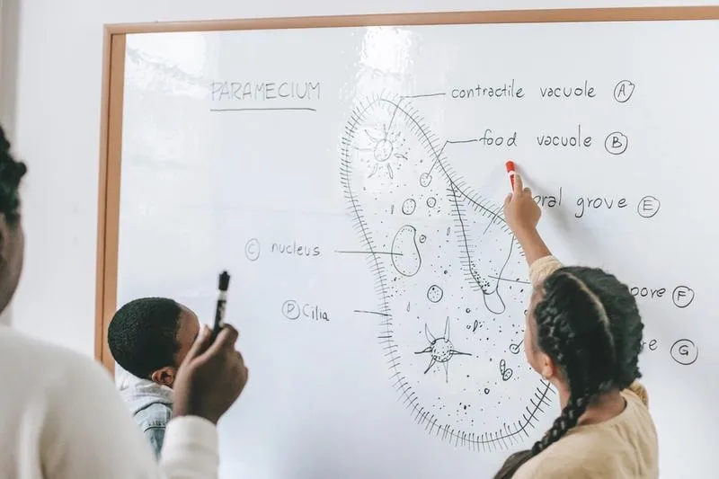 Jak skutecznie uczyć się biologii? Unikaj błędów i zapamiętuj więcej