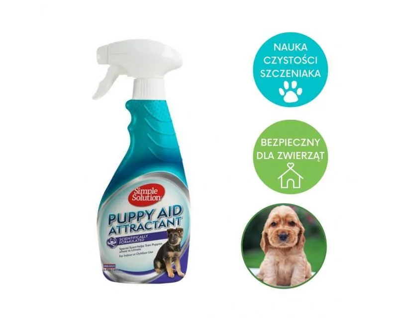 Jakie są oczekiwania i skuteczne porady dotyczące treningu czystości szczeniaka?