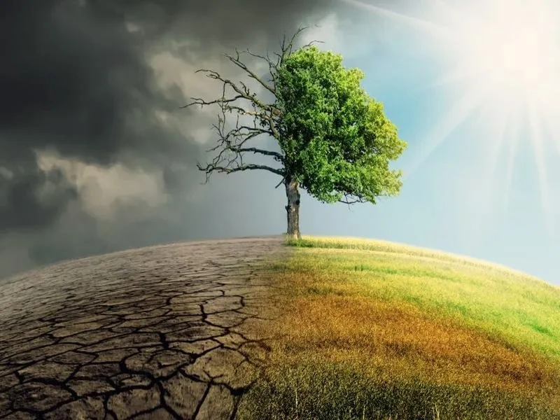 Klimat w tle: Jak zmiany klimatyczne kształtowały dzieje ludzkości