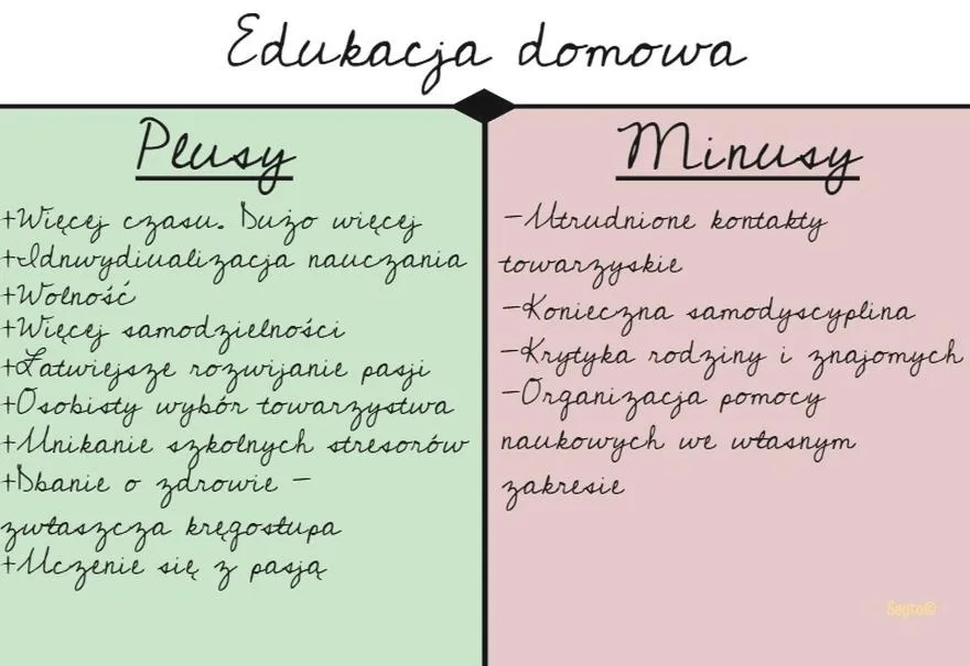 Nauczanie w domu: Jak skutecznie załatwić kluczowe kroki do sukcesu edukacji domowej
