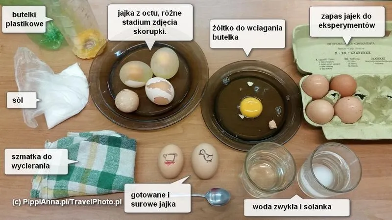Niezapomniane eksperymenty z jajkami dla dzieci: naukowe zabawy w domowym laboratorium