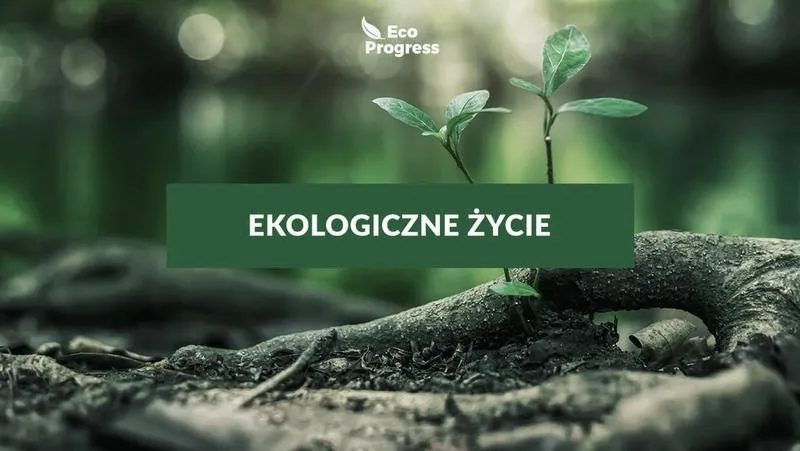Proste nawyki, które pomogą poprawić klimat i chronić środowisko w codziennym życiu