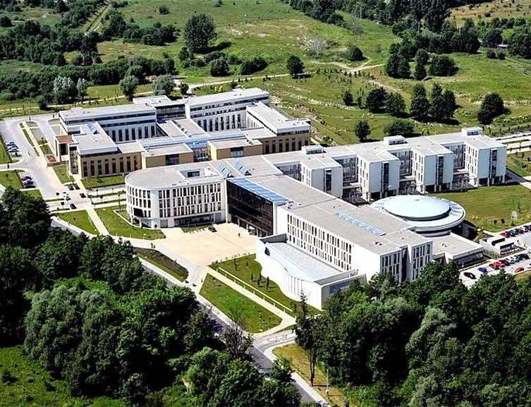 Uniwersytet Szczeciński: Odkryj Wydział Ekonomii, Finansów i Zarządzania – Programy i Kluczowe Informacje