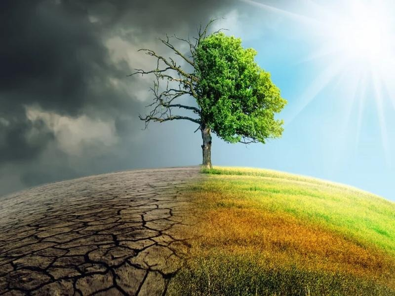 Wpływ klimatu na rolnictwo — wyzwania i przyszłość produkcji żywności