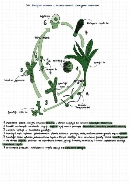Biologia rozszerzona