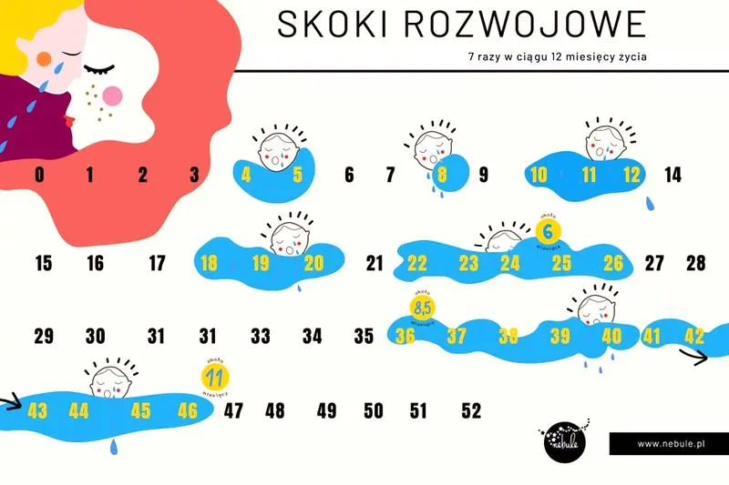 Etapy skoków rozwojowych