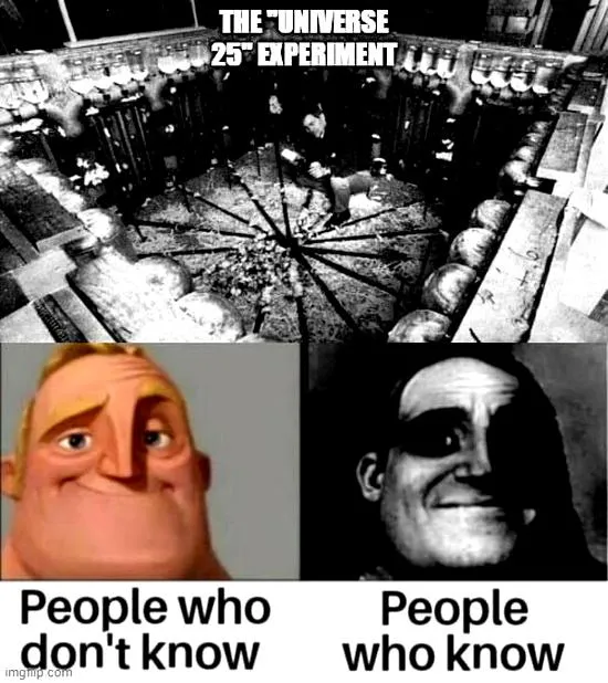 Etyka badań na zwierzętach