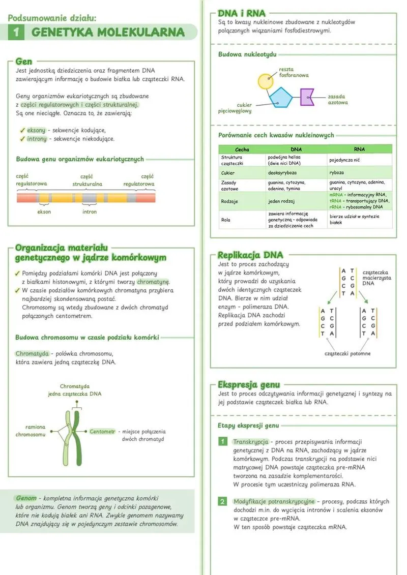 Genetyka w medycynie