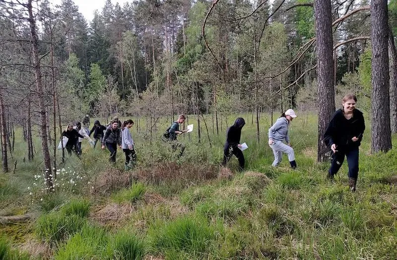 Kariera w leśnictwie