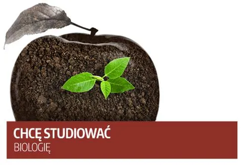 Kierunki studiów po maturze