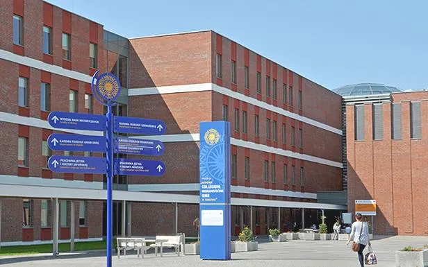 Kierunki studiów z perspektywą