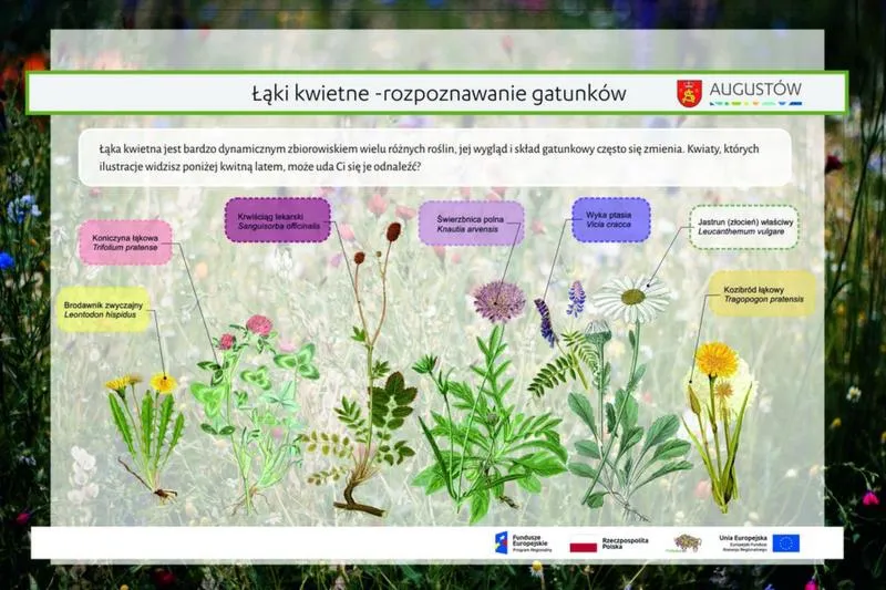 Klimat i bioróżnorodność