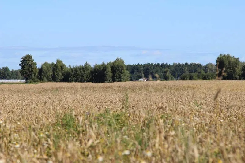 Korzyści z ziemi rolnej