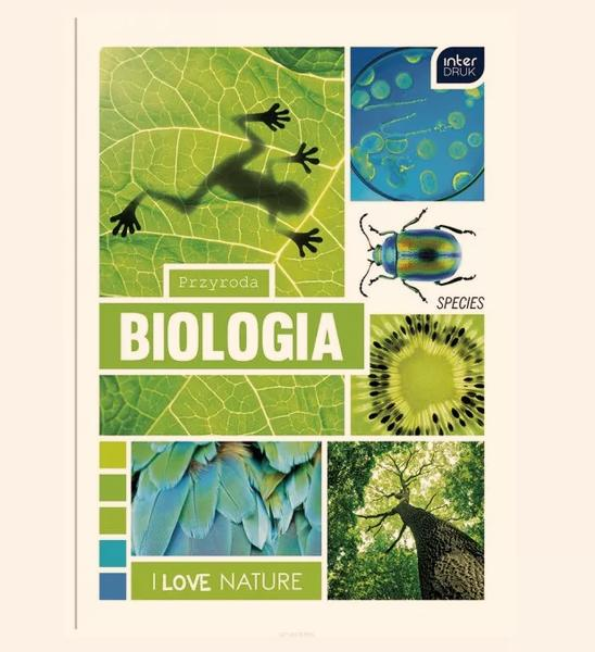 Kratka czy linie