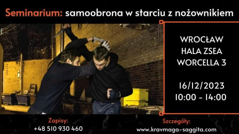 Krav maga boks i jiu-jitsu