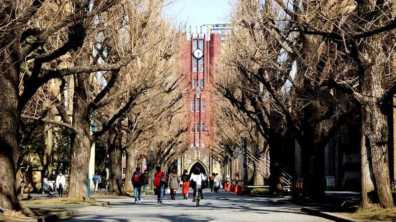 Kultura i tradycja w Japonii