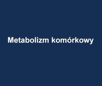 Metabolizm w biologii