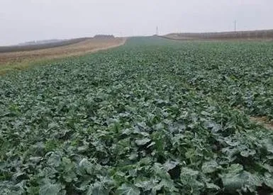 Obowiązki rolnika