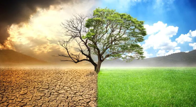 Ochrona środowiska