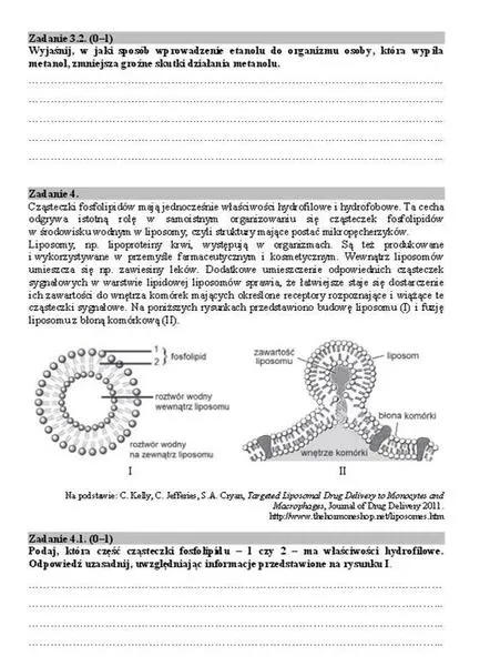 Przygotowanie do matury