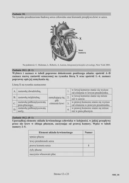 Przygotowanie do matury z biologii