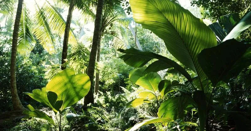 Skutki ocieplenia w Polsce