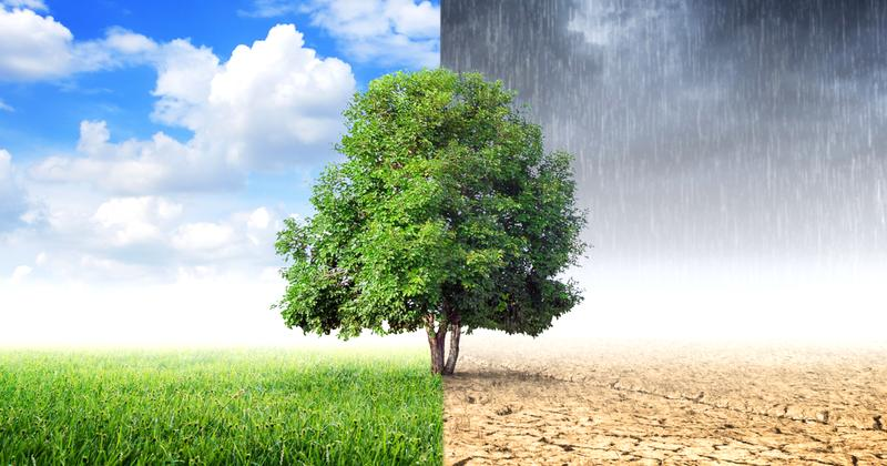 Skutki zmian klimatycznych