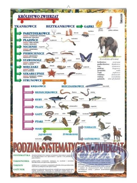 Systematyka biologiczna