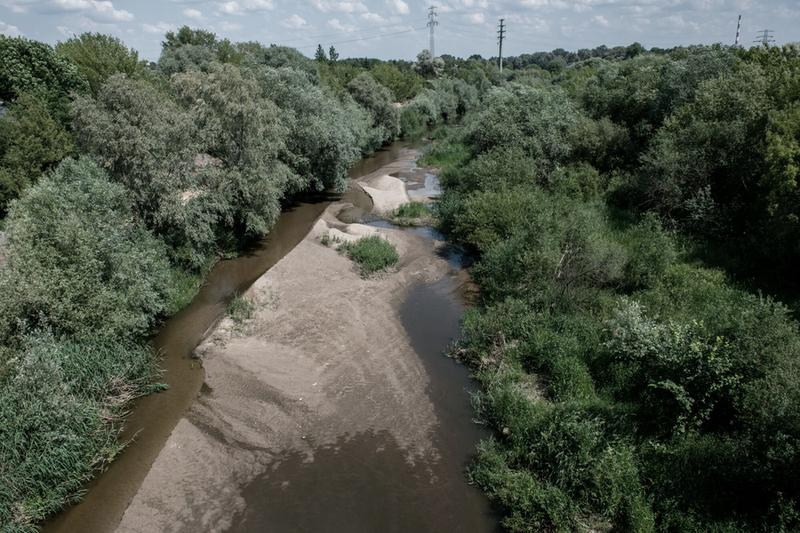 Wpływ klimatu na lasy