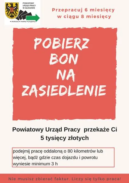 Wsparcie po studiach