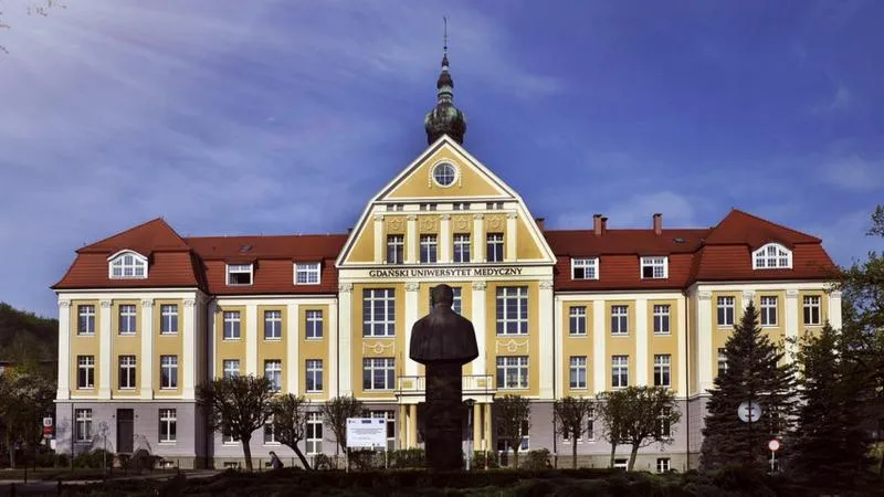 Współpraca międzynarodowa w medycynie
