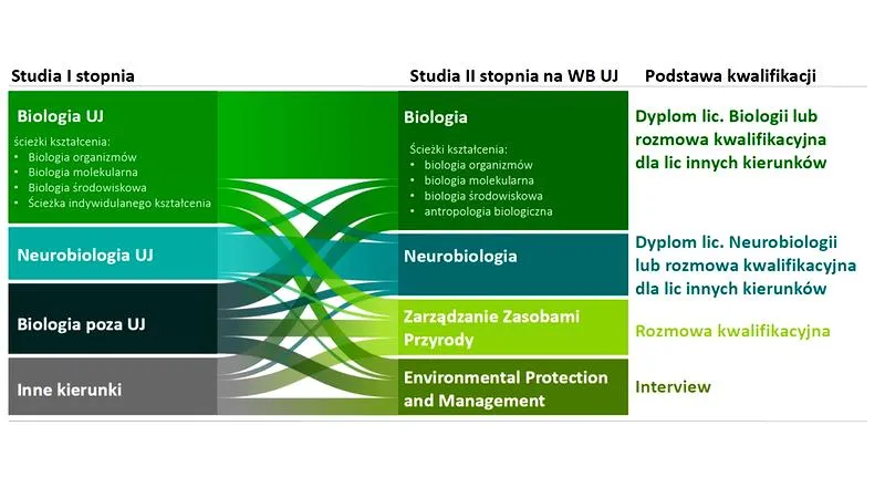 Wybór ścieżki kariery