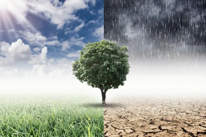 Zmiany klimatu i bioróżnorodność