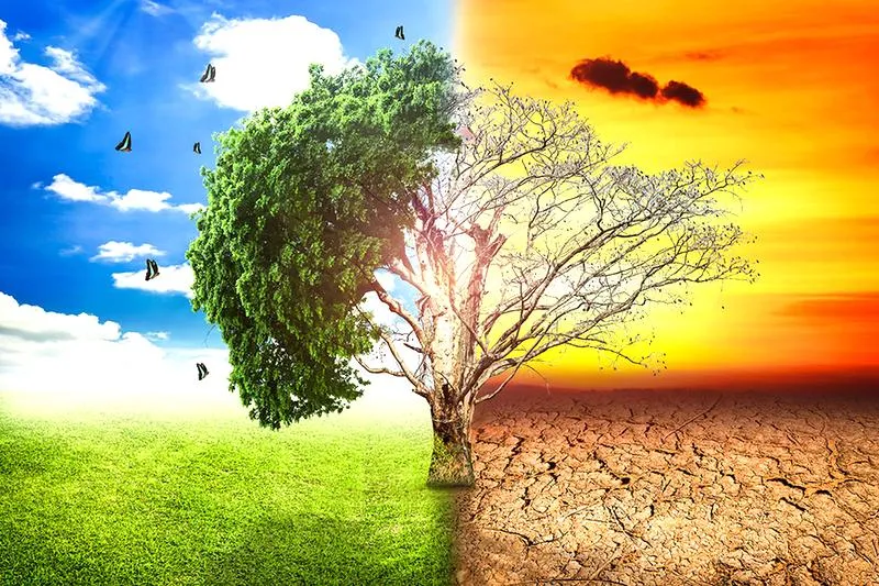 Zmiany klimatyczne