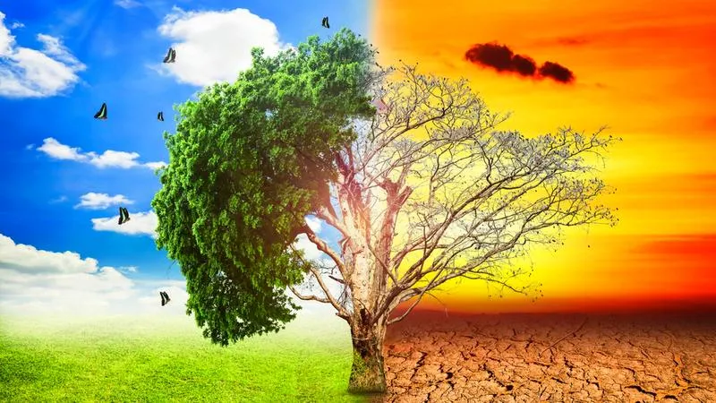 Zmiany klimatyczne