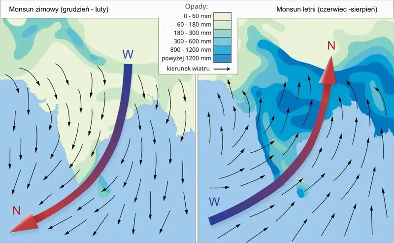 Zmiany środowiskowe